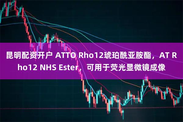 昆明配资开户 ATTO Rho12琥珀酰亚胺酯，AT Rho12 NHS Ester，可用于荧光显微镜成像
