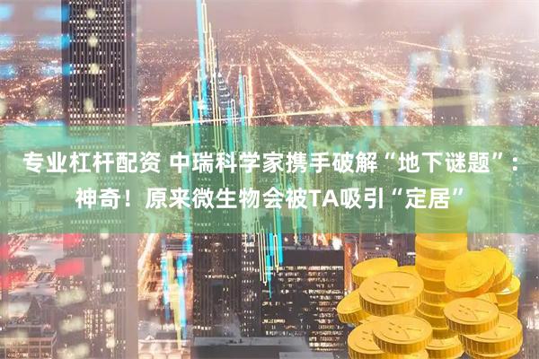 专业杠杆配资 中瑞科学家携手破解“地下谜题”：神奇！原来微生物会被TA吸引“定居”
