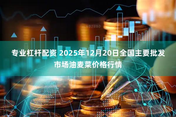专业杠杆配资 2025年12月20日全国主要批发市场油麦菜价格行情