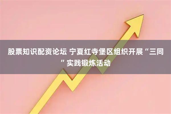 股票知识配资论坛 宁夏红寺堡区组织开展“三同”实践锻炼活动