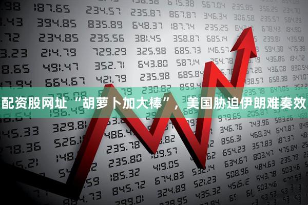 配资股网址 “胡萝卜加大棒”，美国胁迫伊朗难奏效